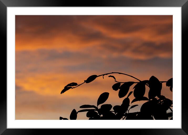 Late Winter Sunset Framed Mounted Print by Glen Allen