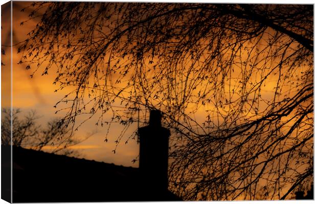 Late Winter Sunset 02 Canvas Print by Glen Allen