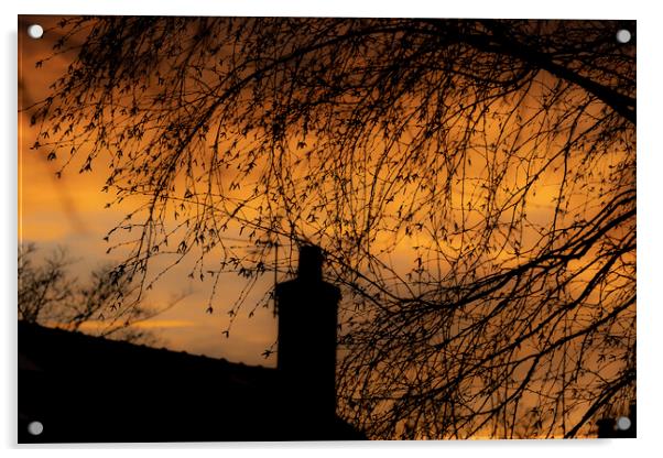 Late Winter Sunset 02 Acrylic by Glen Allen