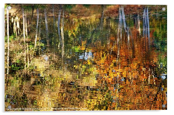 Autumn Reflections II Acrylic by Natalie Kinnear