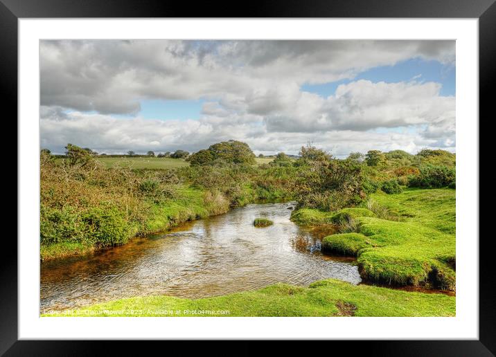 Bodmin Moor Cornwall Framed Mounted Print by Diana Mower
