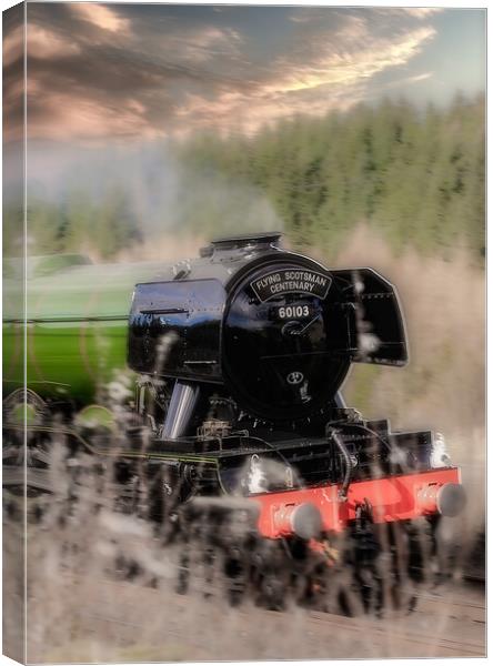 Flying Scotsman 60103 Canvas Print by Duncan Loraine