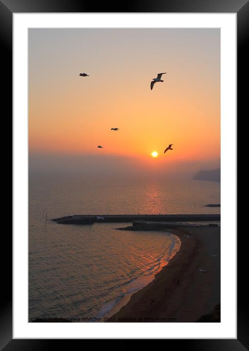 Flight at Sunset Framed Mounted Print by Rumyana Whitcher