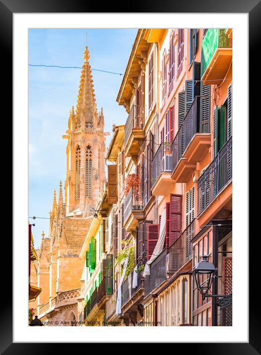 Palma de Majorca, historic city center Framed Mounted Print by Alex Winter