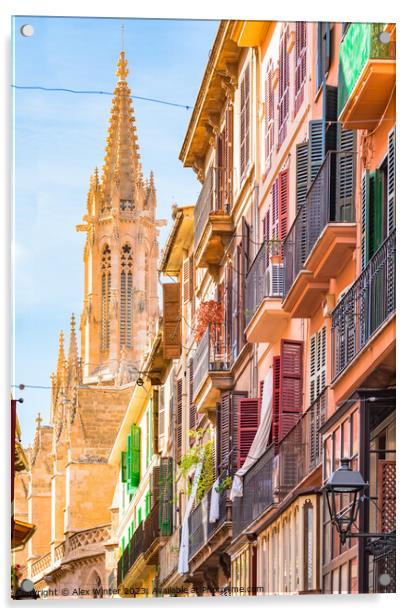 Palma de Majorca, historic city center Acrylic by Alex Winter