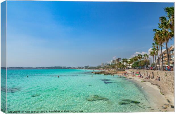 Cala Millor beach on Mallorca island Canvas Print by Alex Winter