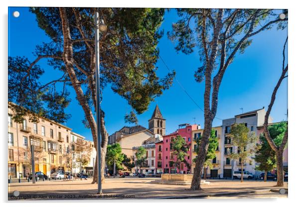 Old town of Palma de Mallorca Acrylic by Alex Winter