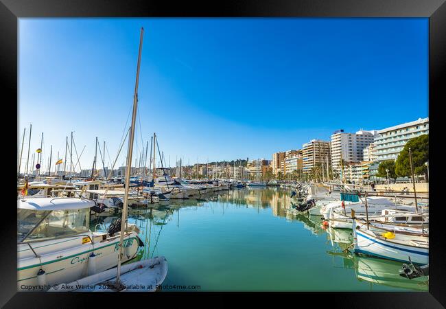 City and boats at marina port at coast of Palma de Majorca Framed Print by Alex Winter