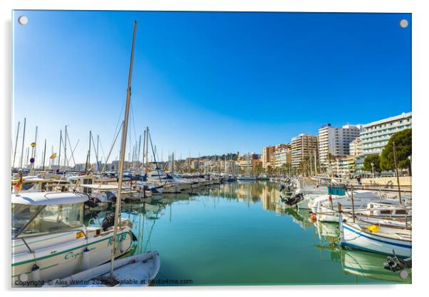 City and boats at marina port at coast of Palma de Majorca Acrylic by Alex Winter