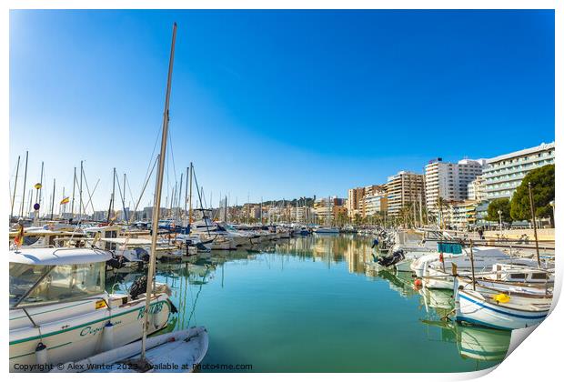 City and boats at marina port at coast of Palma de Majorca Print by Alex Winter