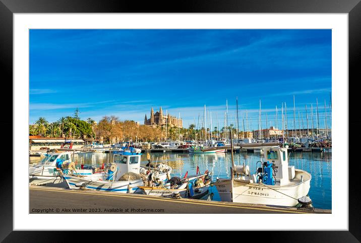 Fishing harbor port of Palma de Majorca Framed Mounted Print by Alex Winter