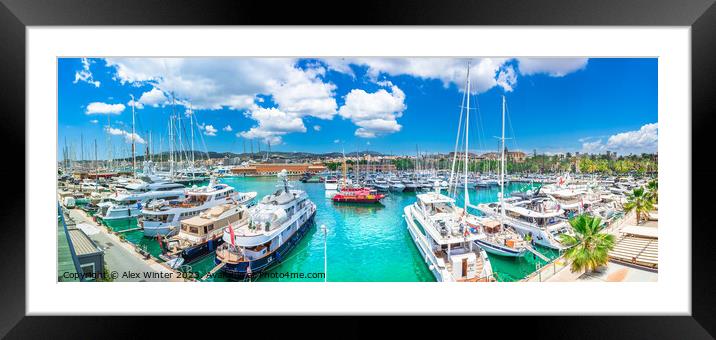 Yachts boats at marina port of Palma de Majorca Framed Mounted Print by Alex Winter
