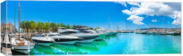Luxury yachts at marina port of Palma de Majorca Canvas Print by Alex Winter