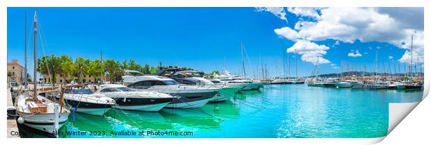 Luxury yachts at marina port of Palma de Majorca Print by Alex Winter