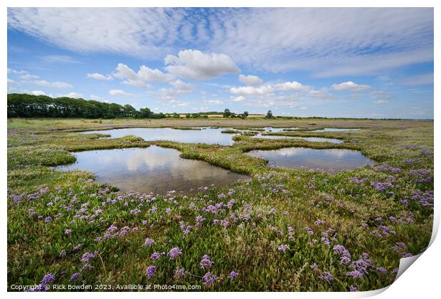 Enchanting Sea Lavender Pools Print by Rick Bowden