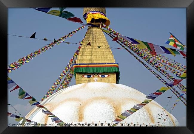 The Tibetan stupa in Bodnath, Nepal Framed Print by Alexandra Lavizzari