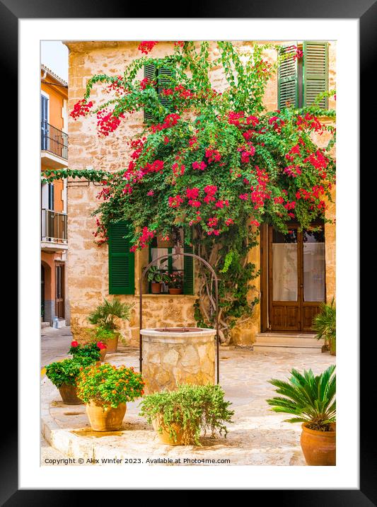 bougainvillea house Framed Mounted Print by Alex Winter