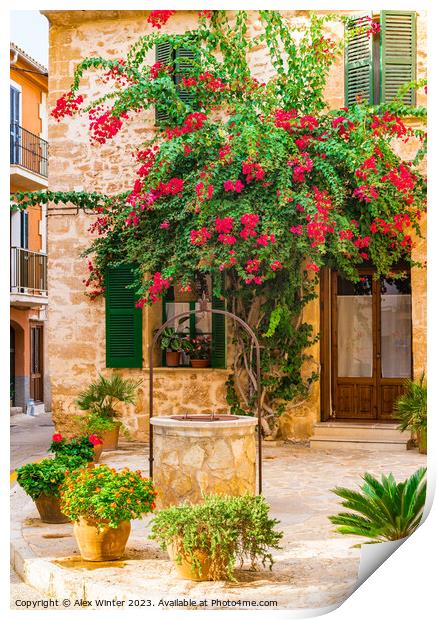 bougainvillea house Print by Alex Winter