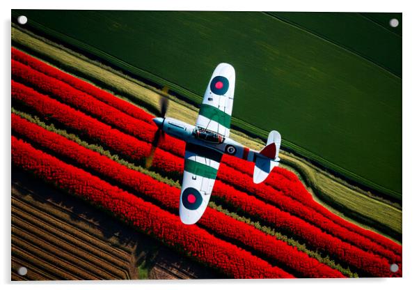 The Supermarine Spitfire flying over Poppy Field Acrylic by Bahadir Yeniceri