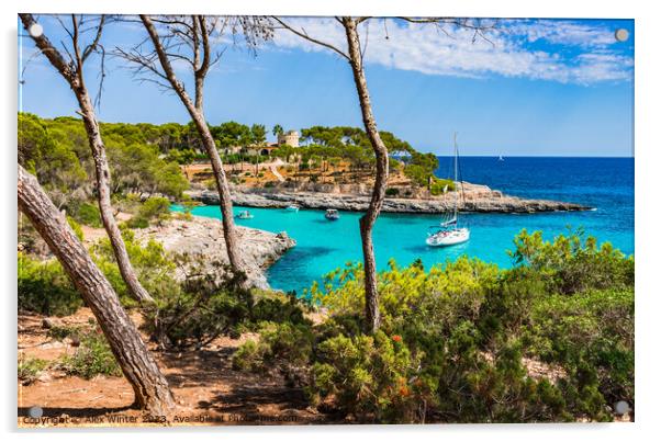 Island scenery coast bay of Cala des Burgit Acrylic by Alex Winter