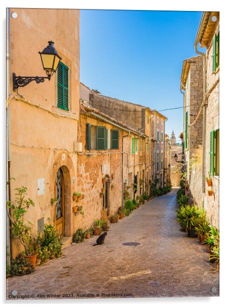 Old village Valldemossa on Mallorca  Acrylic by Alex Winter