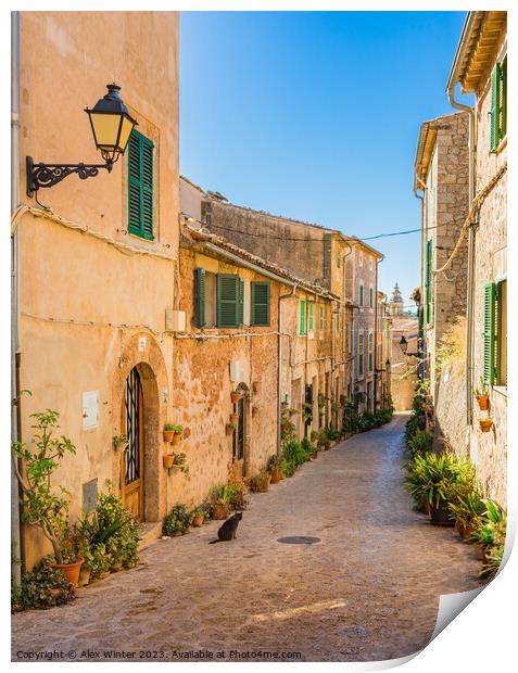 Old village Valldemossa on Mallorca  Print by Alex Winter