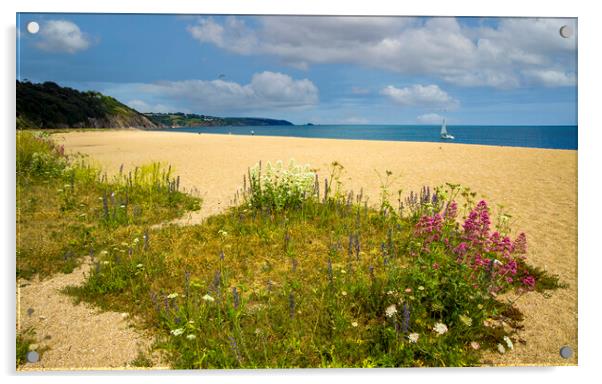 A Vibrant Sea of Wildflowers Acrylic by Paul F Prestidge