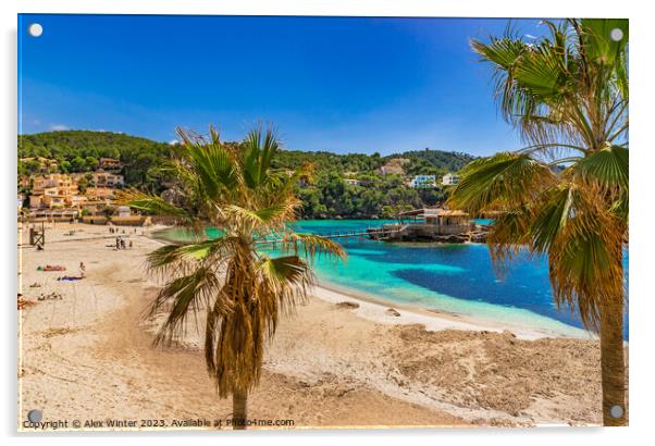 Camp de Mar, Majorca Spain, Balearic islands Acrylic by Alex Winter