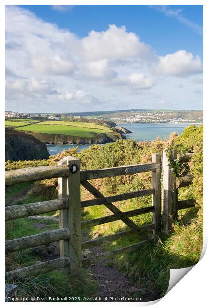 Wales Coastal Path Pembrokeshire Coast Walk Print by Pearl Bucknall