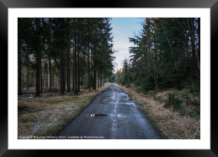 Walking path in forest. Forest road. Framed Mounted Print by Lubos Chlubny