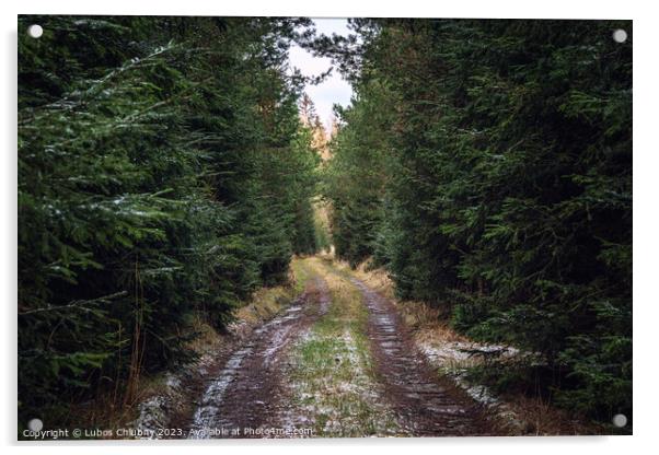 Walking path in forest. Forest road. Acrylic by Lubos Chlubny