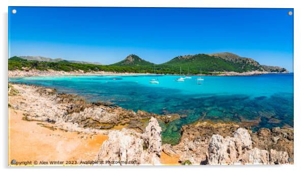 Majorca island, beach Cala Angulla Acrylic by Alex Winter