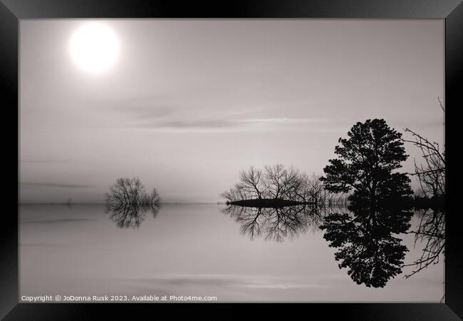Reflections in Black and White Framed Print by JoDonna Rusk