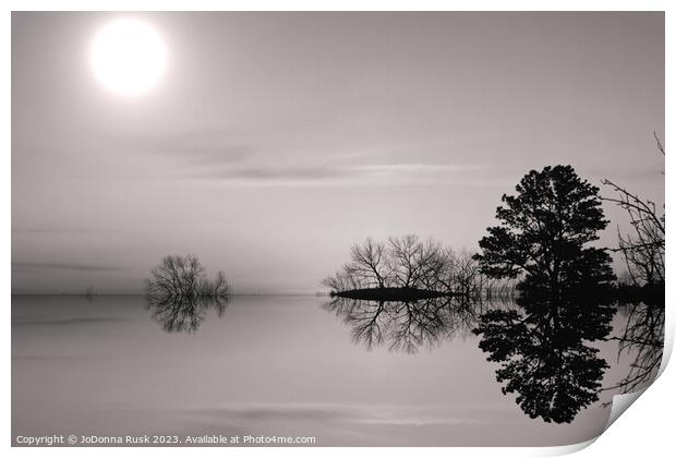 Reflections in Black and White Print by JoDonna Rusk