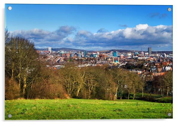 Turners View, Sheffield Acrylic by Darren Galpin