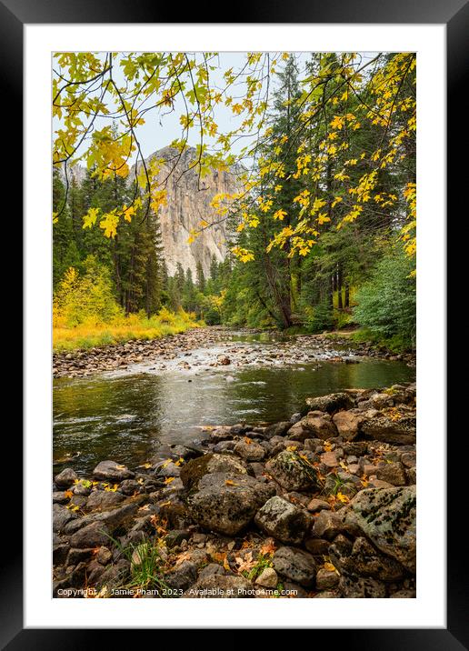 Fall Leaves and El Capitan Framed Mounted Print by Jamie Pham