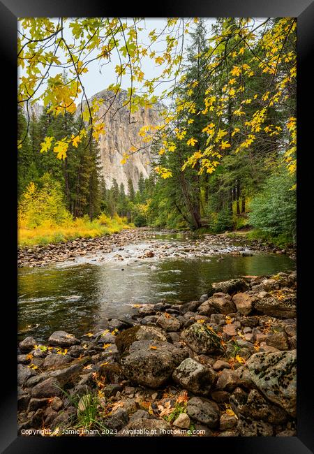 Fall Leaves and El Capitan Framed Print by Jamie Pham