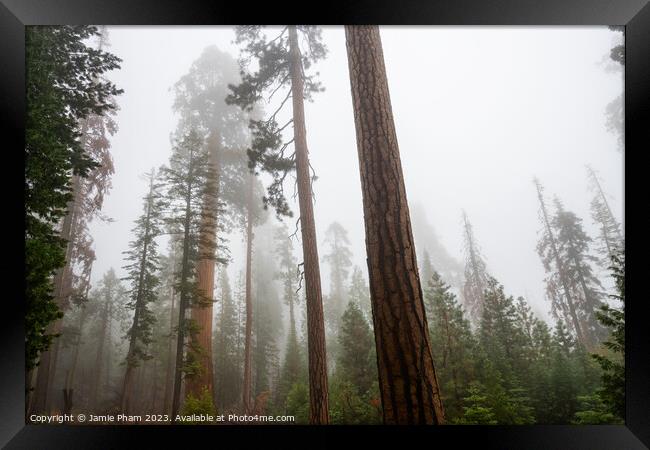 Misty Forest Giant Framed Print by Jamie Pham