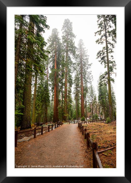 Path to Giants Framed Mounted Print by Jamie Pham