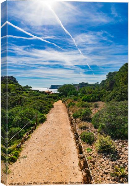 footpath to coast bay on Mallorca island Canvas Print by Alex Winter