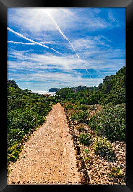 footpath to coast bay on Mallorca island Framed Print by Alex Winter