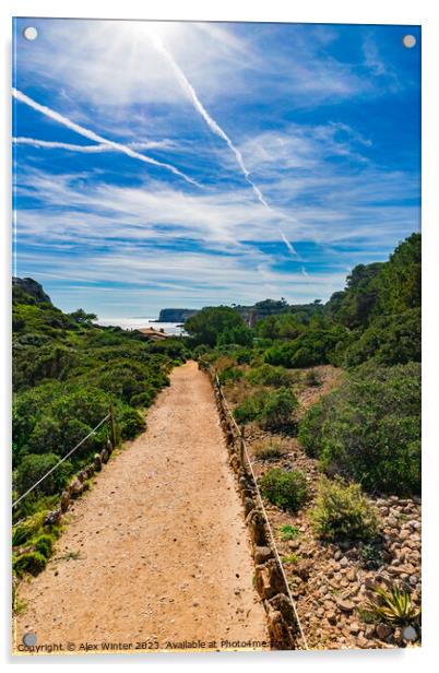 footpath to coast bay on Mallorca island Acrylic by Alex Winter
