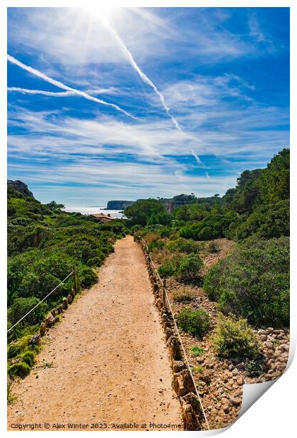 footpath to coast bay on Mallorca island Print by Alex Winter