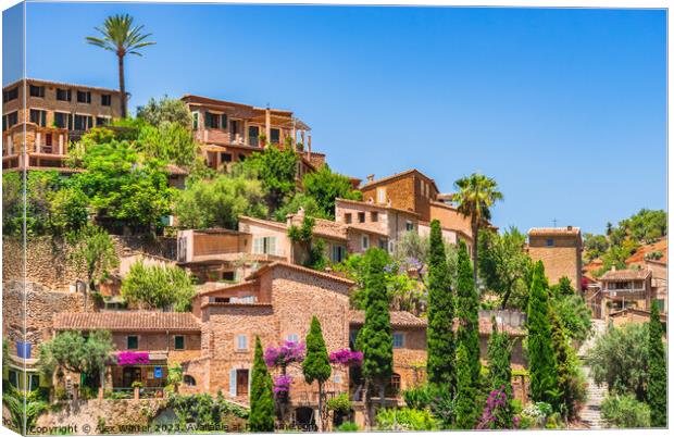 Deia, Mallorca, Spain Canvas Print by Alex Winter