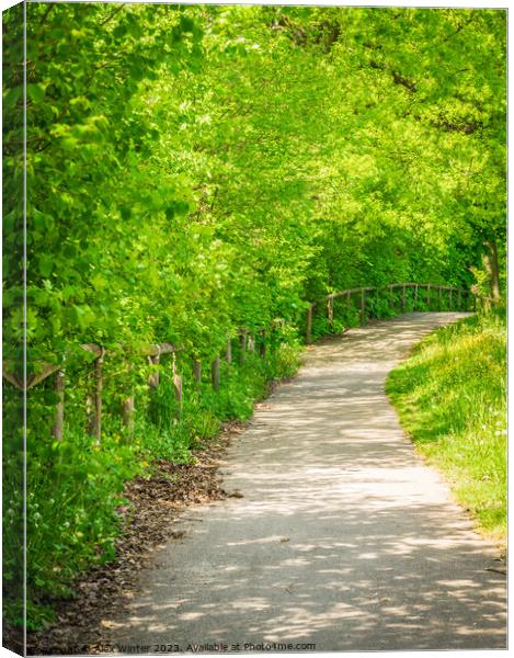 Empty pathway along park trees  Canvas Print by Alex Winter