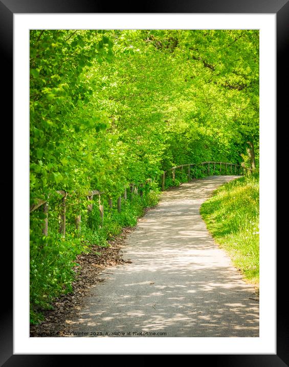Empty pathway along park trees  Framed Mounted Print by Alex Winter