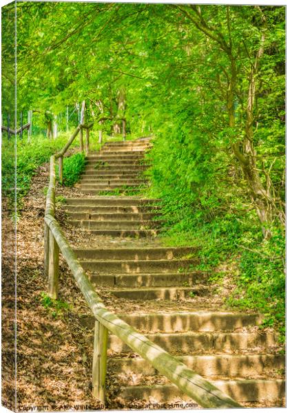 Green forest trees staircase Canvas Print by Alex Winter