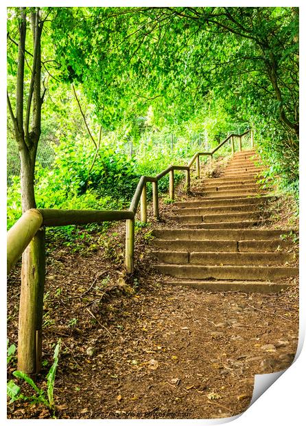 Forest path staircase Print by Alex Winter