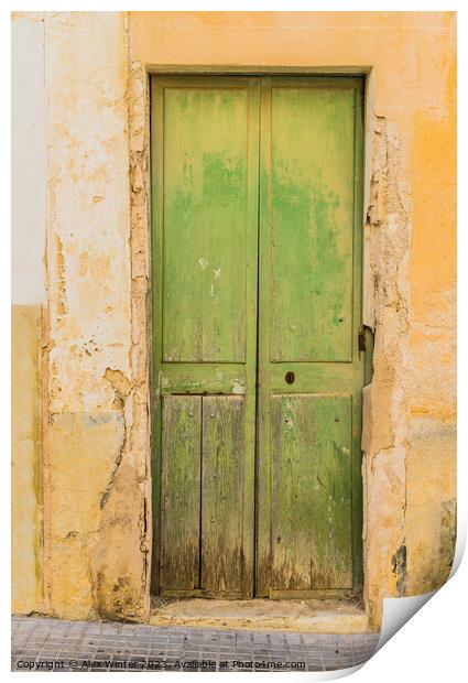 green wooden entrance front door Print by Alex Winter