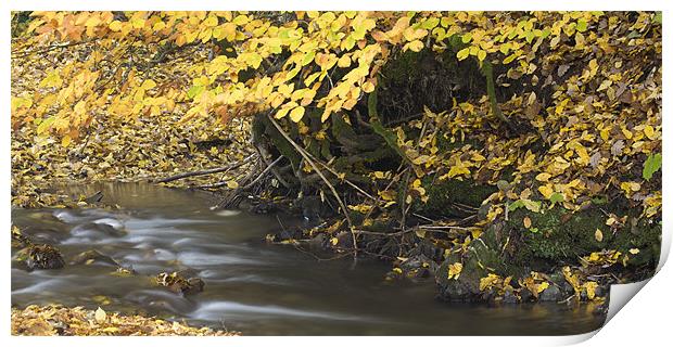 Autumn flow Print by Ian Middleton